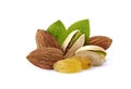 Pistachio nuts wits raisins, almonds and leaves in closeup isolated
