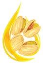 Pistachio oil. Stylized drop. Royalty Free Stock Photo