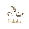 Pistachio, pistache hand drawn graphics element for packaging design of nuts and seeds or snack. Vector illustration in Royalty Free Stock Photo