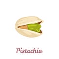 Pistachio vector illustration, icon. Nut isolated on white background.