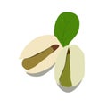 Pistachio vector illustration. Pistachio set icon. Pistachio on