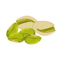 Pistachio.Vector illustration of nut.Vector pistachio