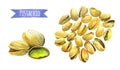 Pistachio, watercolor illustration with clipping path