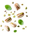 Pistachios with Leaves - Floating Nuts Isolated on White Royalty Free Stock Photo
