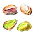 Pistachios nuts hand drawn watercolor illustration set. Element for design. Isolated object on white.