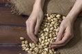 Pistachios nuts in hands. Burlap sack