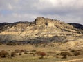 Pistacia atlantica trees, semi-desert and white cliffs. Vashlovani Strict Nature Reserve. Georgia