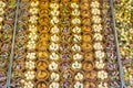 Pistacia sweets in round shapes Royalty Free Stock Photo