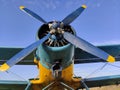 Piston engine of an old biplane plane Royalty Free Stock Photo