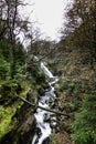 Pistyll y Cain Waterfall in Coed y Brenin Forest Park in Autumn, fall, portrait Royalty Free Stock Photo
