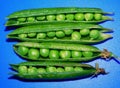 peas from organic agriculture