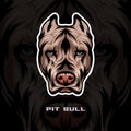 Pit bull Dog Face Vector Stock Illustration, Dog Mascot Logo, Dog Face Logo vector Royalty Free Stock Photo