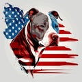 Pit bull dog head with USA flag pattern for 4th of July, American independence day and Veterans day Royalty Free Stock Photo