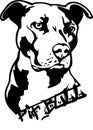 Pit bull dog illustration Royalty Free Stock Photo
