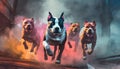 4 pit bull dogs running towards you