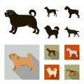 Pit bull, german shepherd, chow chow, schnauzer. Dog breeds set collection icons in black,flat style vector symbol stock