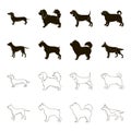 Pit bull, german shepherd, chow chow, schnauzer. Dog breeds set collection icons in black,outline style vector symbol