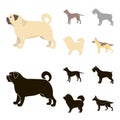 Pit bull, german shepherd, chow chow, schnauzer. Dog breeds set collection icons in cartoon,black style vector symbol