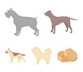 Pit bull, german shepherd, chow chow, schnauzer. Dog breeds set collection icons in cartoon style vector symbol stock