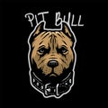 Pit bull head with a collar on a dark background. Vector illustration. Royalty Free Stock Photo
