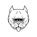 Pit bull head illustration, dog head vector Royalty Free Stock Photo