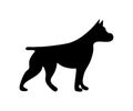 Pit bull icon. Dog standing silhouette. Vector illustration isolated Royalty Free Stock Photo
