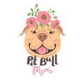 Pit Bull Mom. Image of happy mother dog. American Staffordshire Pitbull Terrier face. Vector illustration Royalty Free Stock Photo