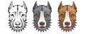 Pit bull terrier, american pit bull, pet logo, dog pitbull, colored pets for design, colour illustration suitable as logo or team