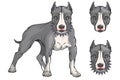 Pit bull terrier, american pit bull, pet logo, dog pitbull, colored pets for design, colour illustration suitable as logo or team