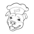 Pit bull Terrier in a chef`s cap. Coloring book page. Vector illustration. Vector logo pure-bred
