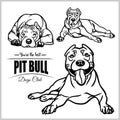 Pit Bull - vector set isolated illustration on white background Royalty Free Stock Photo