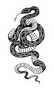 Pit viper. Crotaline snake or pit adders. Venomous Reptilia illustration. Engraved hand drawn in old sketch, vintage