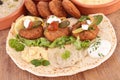 Pita bread with falafel and hummus Royalty Free Stock Photo