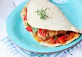 Pita bread stuffed with meat Royalty Free Stock Photo