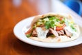 pita sandwich stuffed with gyro meat and tzatziki sauce Royalty Free Stock Photo