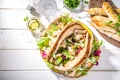 Pita wrapped gyros sandwich Royalty Free Stock Photo