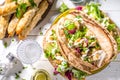 Pita wrapped gyros sandwich Royalty Free Stock Photo