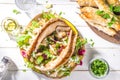 Pita wrapped gyros sandwich Royalty Free Stock Photo