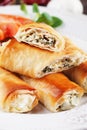 Pita zeljanica, balkans phyllo pastry Royalty Free Stock Photo