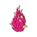 Pitahaya, dragon fruit doodle icon