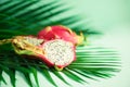 Pitahaya or dragon fruit over tropical green palm leaves on turquoise background. Copy space. Pop art design, creative