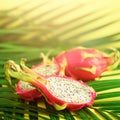 Pitahaya or dragon fruit over tropical green palm leaves on yellow background. Top view with copy space. Pop art design, creative