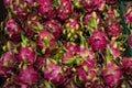 Pitaya dragon fruit Royalty Free Stock Photo