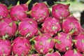 Pitaya, dragon fruit Royalty Free Stock Photo