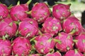 Pitaya, dragon fruit