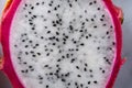 Pitaya dragon fruit macro detail Royalty Free Stock Photo