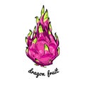 Pitaya or dragon fruit tasty nature asian diet delicious and inscription. Exotic pink tropical fresh .