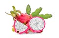 Pitaya or dragon fruit with dragon fruit tree isolated on white Royalty Free Stock Photo