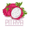 Pitaya Fruit