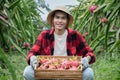 Pitaya fruit farmer Royalty Free Stock Photo